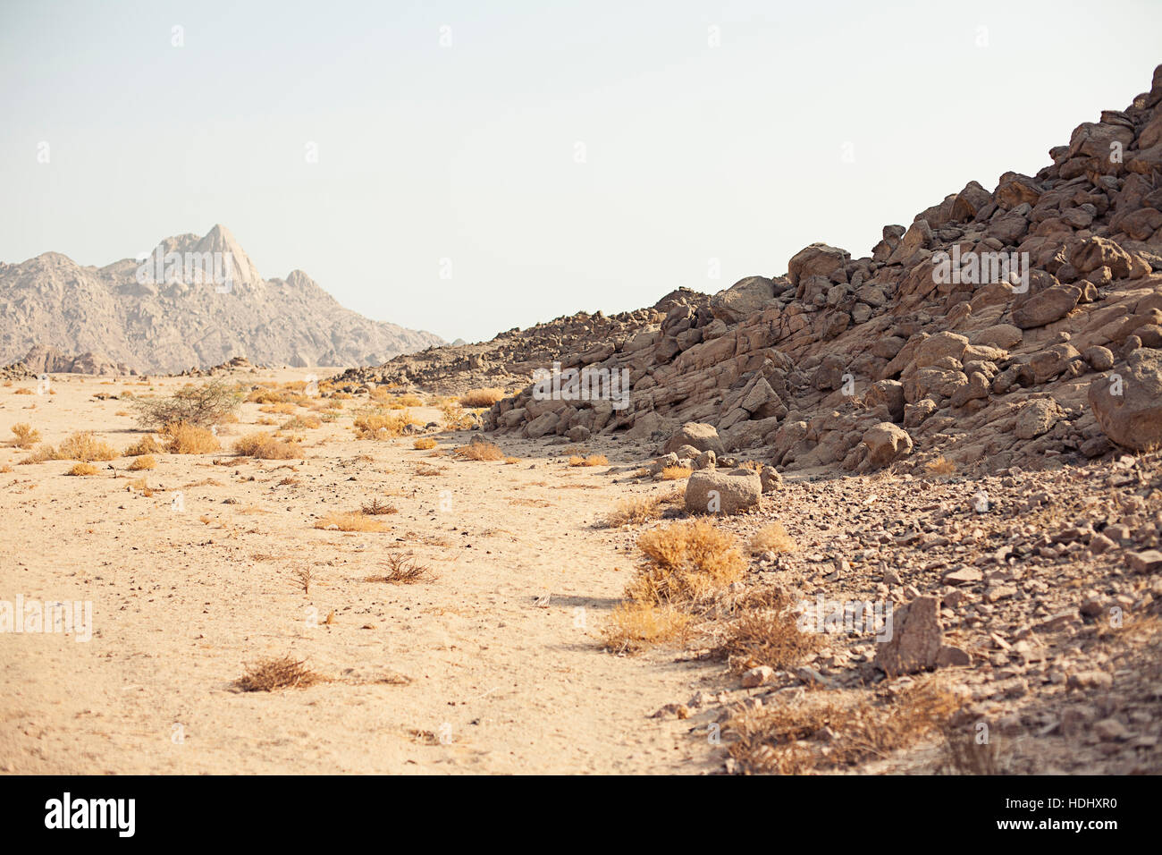 Berg in der Wüste Stockfoto