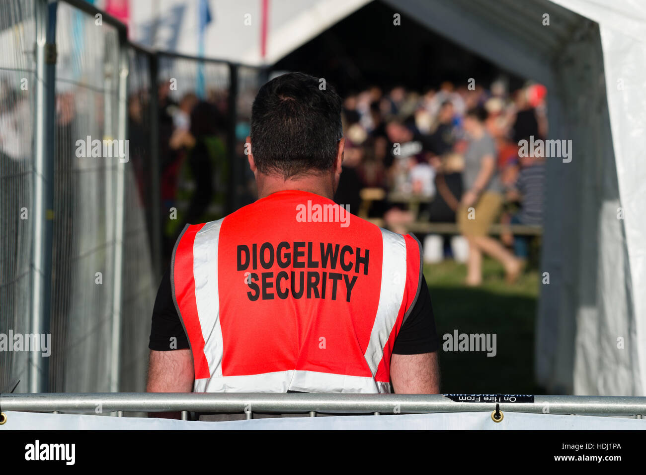 Ein Wachmann tragen einen zweisprachigen Walisisch-Englisch hi-Vis-Wappenrock bei den Musikfestspielen 2016 großen Tribut am Stadtrand von Aberystwyth Wales UK, findet jedes Jahr am August Bank Holiday Wochenende. Stockfoto