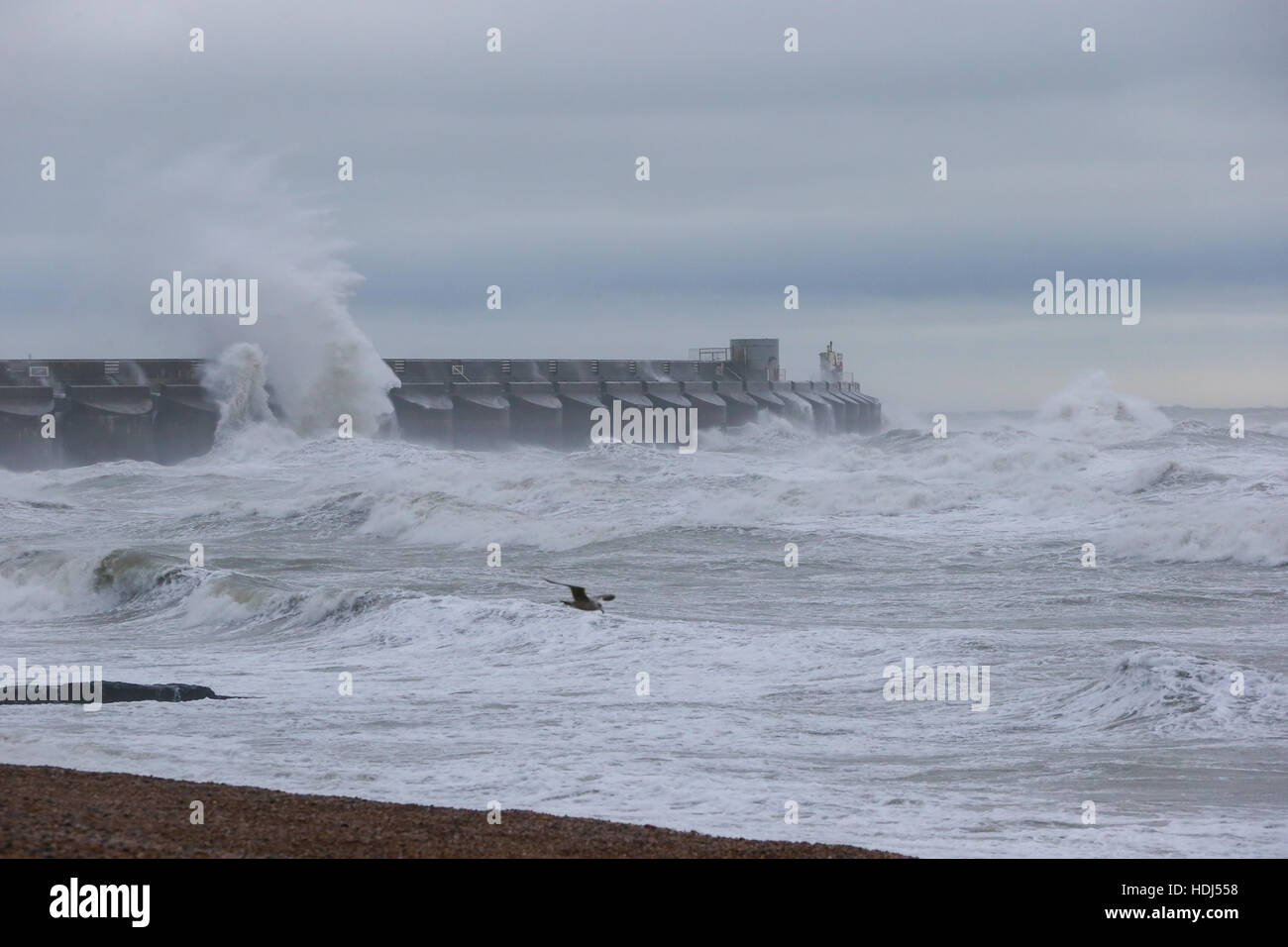 November 2016, BRIGHTON, UK: Sturm Angus bricht das Brighton 10k-Straßenrennen. Stockfoto