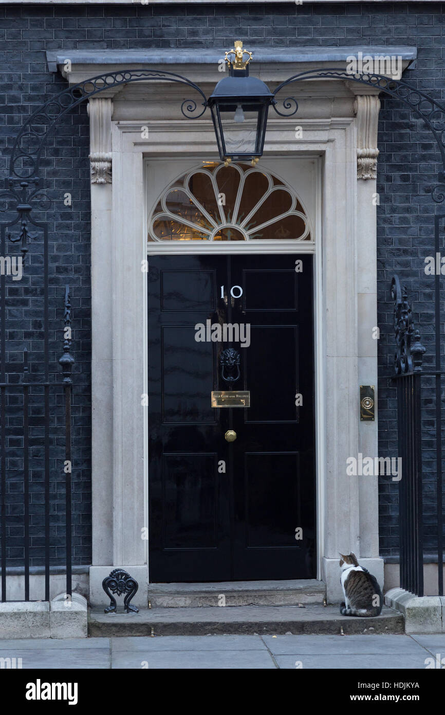 London, 28. November 2016. Haustüren sind in 10 Downing Street in London, die Residenz des Premierministers des Vereinigten Königreichs geschlossen gehalten. Stockfoto