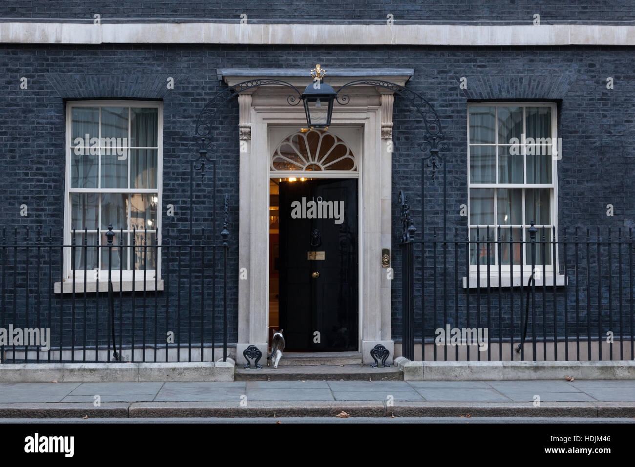 London, 28. November 2016. Haustüren sind in 10 Downing Street in London, die Residenz des Premierministers des Vereinigten Königreichs geschlossen gehalten. Stockfoto