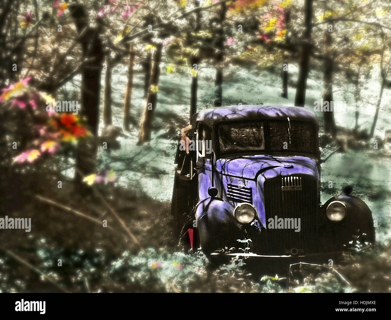 Verlassenen alten Pickup-Truck in Wäldern. Schwarz / weiß Infrarotbild, handkolorierten LKW. Gescannt. Stockfoto