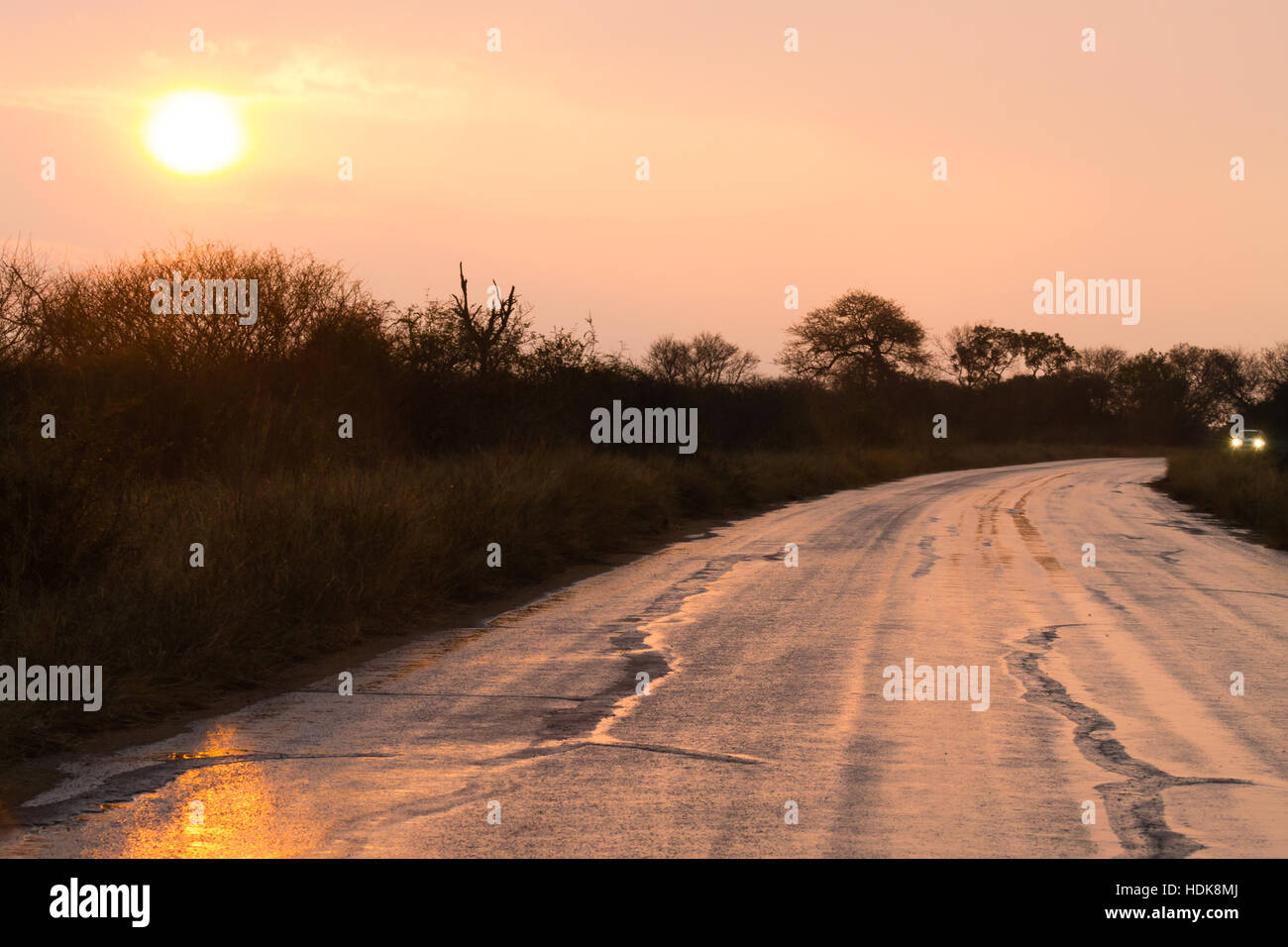 Straße Perspektivansicht im Morgengrauen vom Kruger National Park. Südafrika-Landschaft. Stockfoto