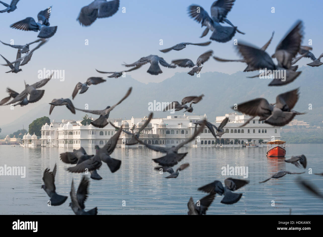 Udaipur Lake Palace, Udaipur, Rajasthan, Indien mit Tauben im Flug Stockfoto