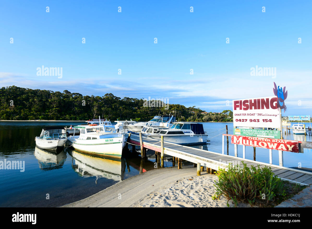 Angeln Charter Yachten in der Marina, Lakes Entrance, Victoria, VIC, Australien günstig Stockfoto