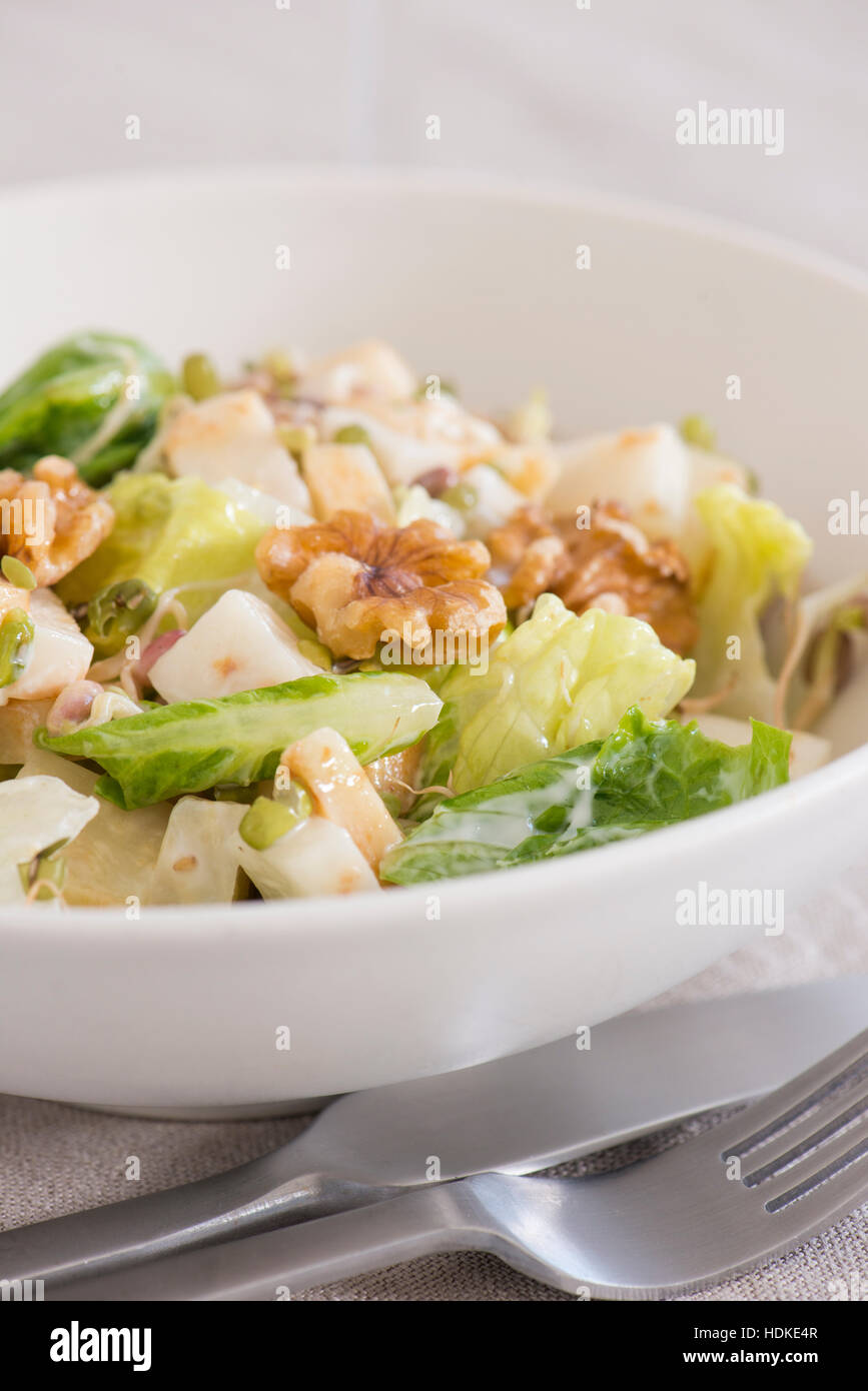 Waldorf-Salat in einer weißen Schüssel serviert. Nahaufnahme der traditionelle amerikanische Gerichte mit Gemüse, Früchten und Nüssen. Stockfoto