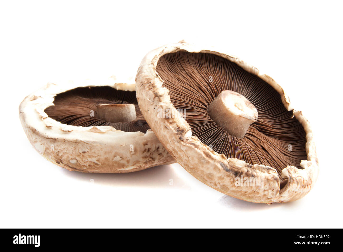 Rohe Portabella Pilze isoliert auf weiß Stockfoto