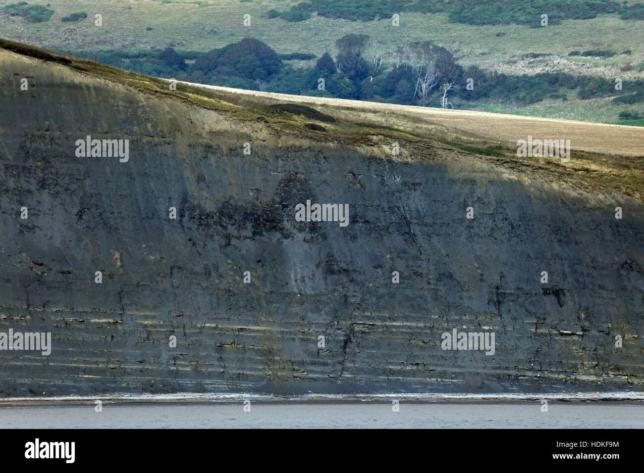 Öl-Schiefer und Stein Schichten in Klippen an Clavells Hard in der Nähe von Kimmeridge Bay Dorset UK Stockfoto