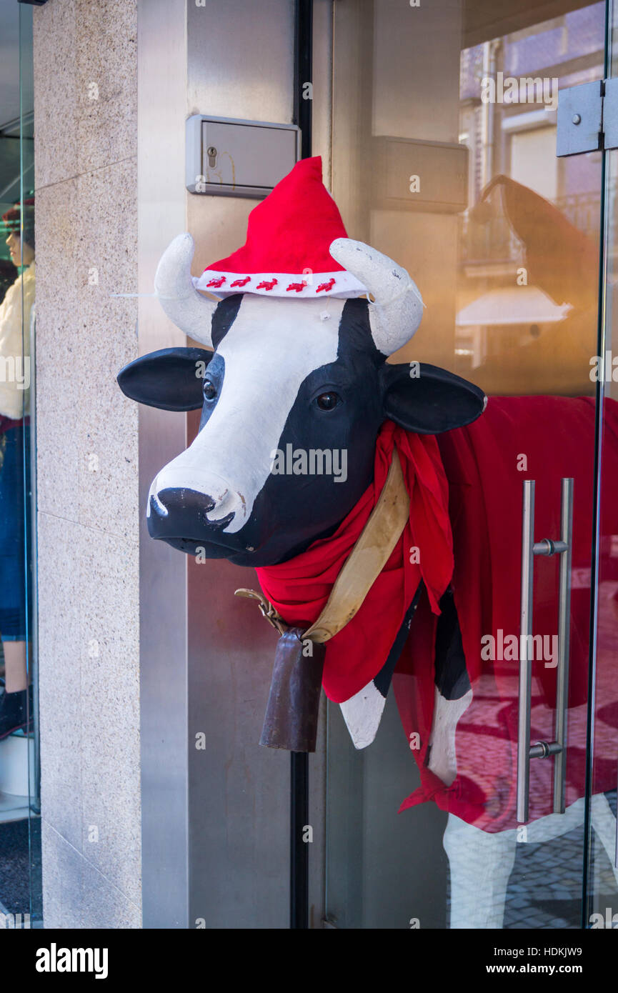 Eine Fiberglas-Kuh-Bildnis im Weihnachtskostüm in einem Schaufenster, Porto (Oporto), Portugal Stockfoto
