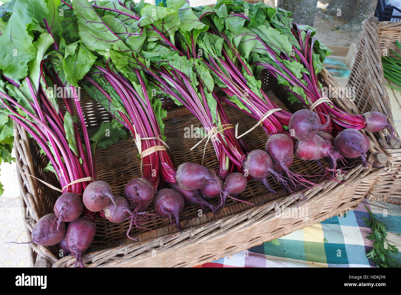 Rote Beete - Johannes Gollop Stockfoto