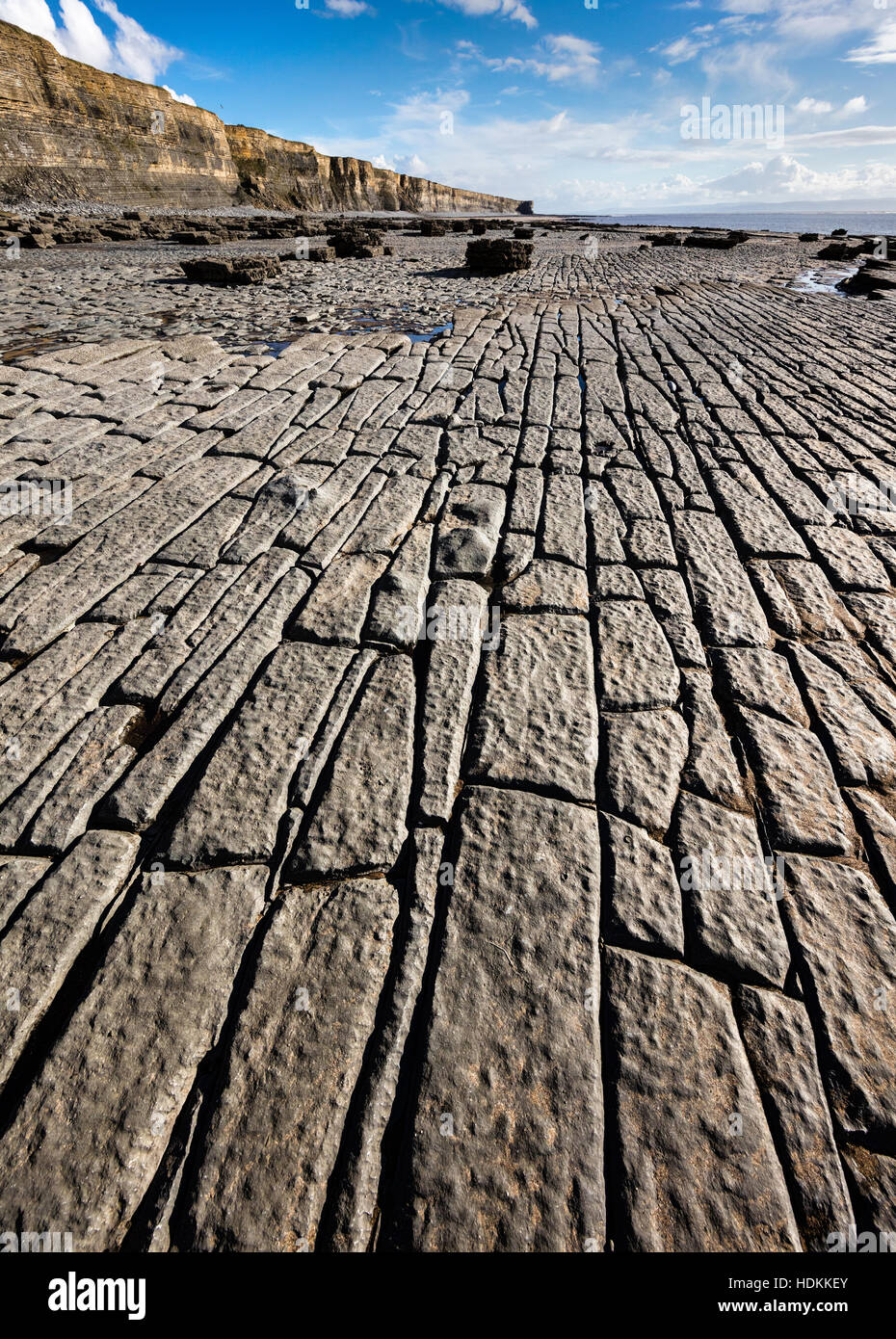 Welle schneiden Pflaster des Jura Lias Kalkstein bei Ebbe in der Nähe von Nash Point auf der Glamorgan Heritage Küste von South Wales UK Stockfoto