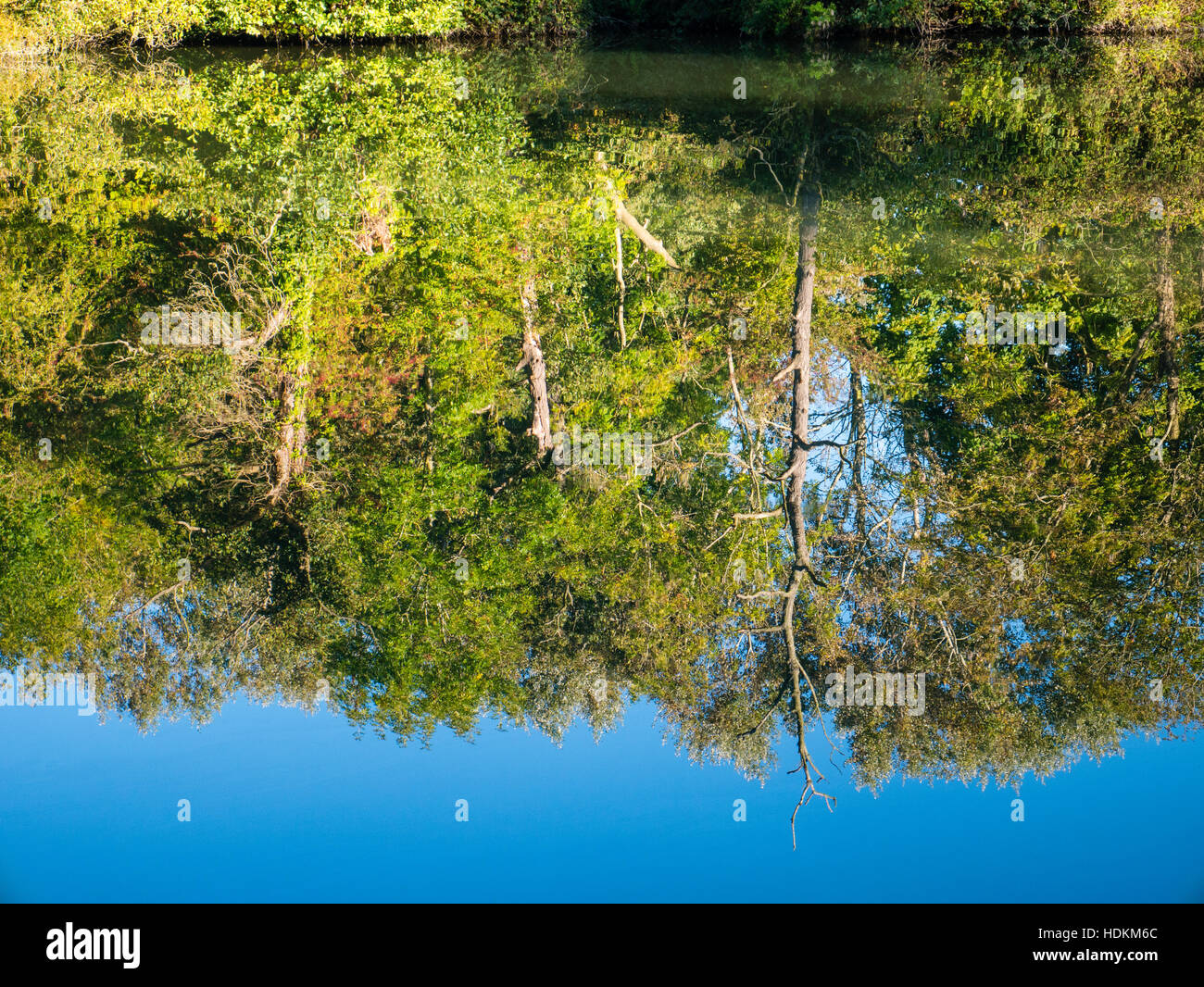 Bäume im Herbst, Themse, Sonning nr Reading, Berkshire, England, UK, GB. Stockfoto