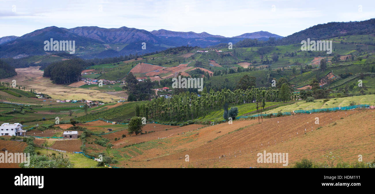 Ooty (Udhagamandalam) Stockfoto