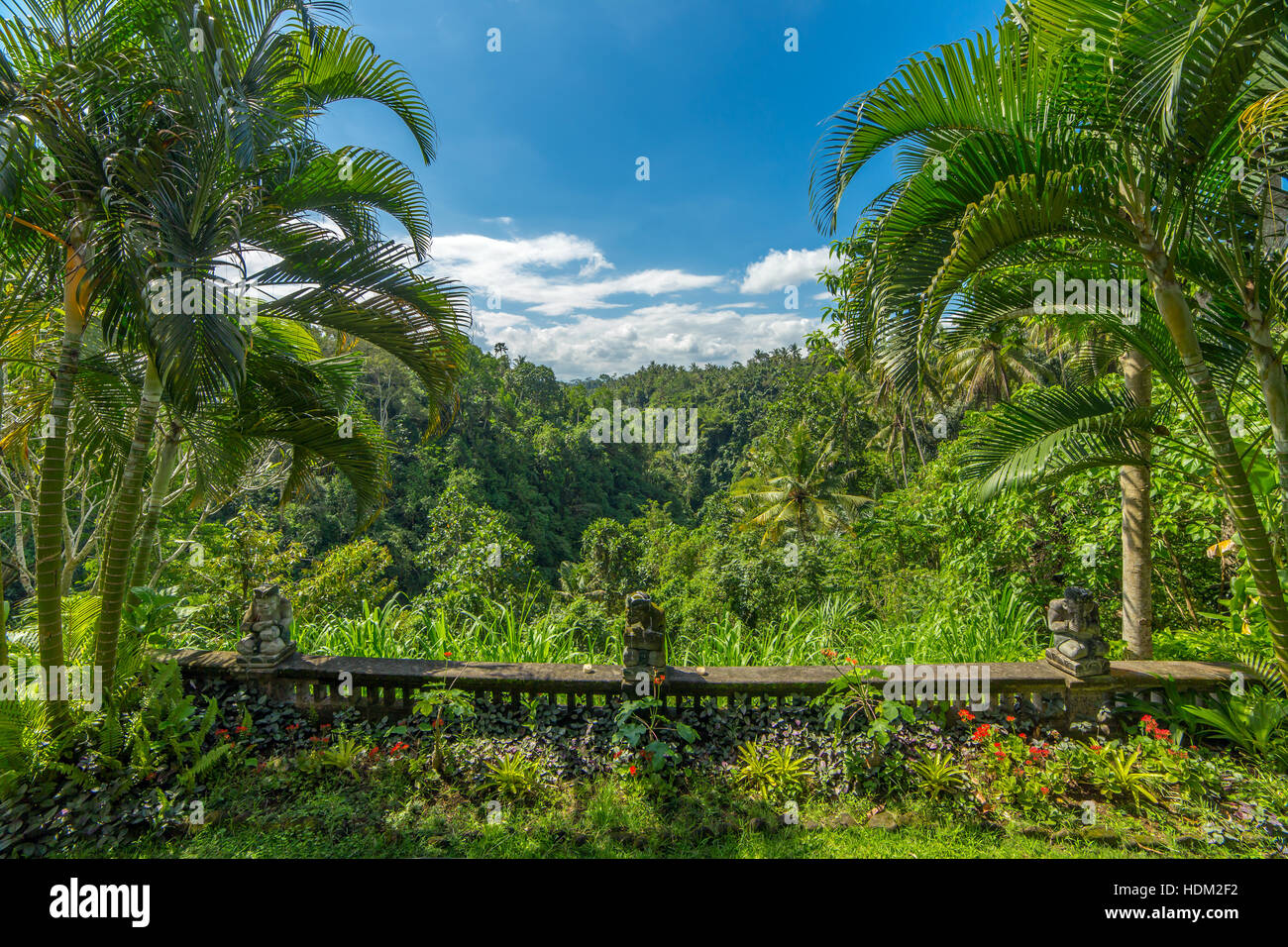 Blick von der privaten Villa am tropischen Regenwald in Bali, Indonesien Stockfoto