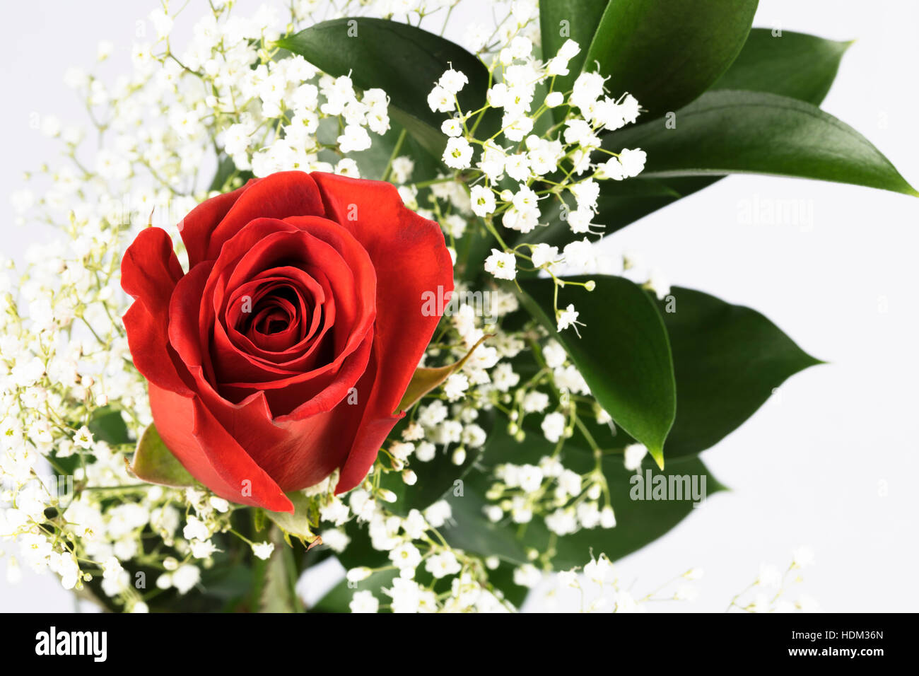 Romantische rote Rosen mit Schleierkraut Stockfotografie - Alamy