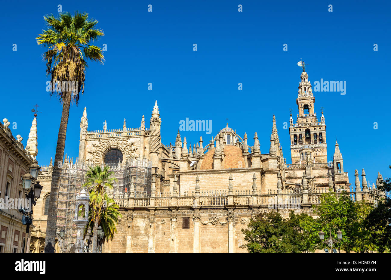 Kathedrale der Heiligen Maria in Sevilla - Andalusien, Spanien Stockfoto