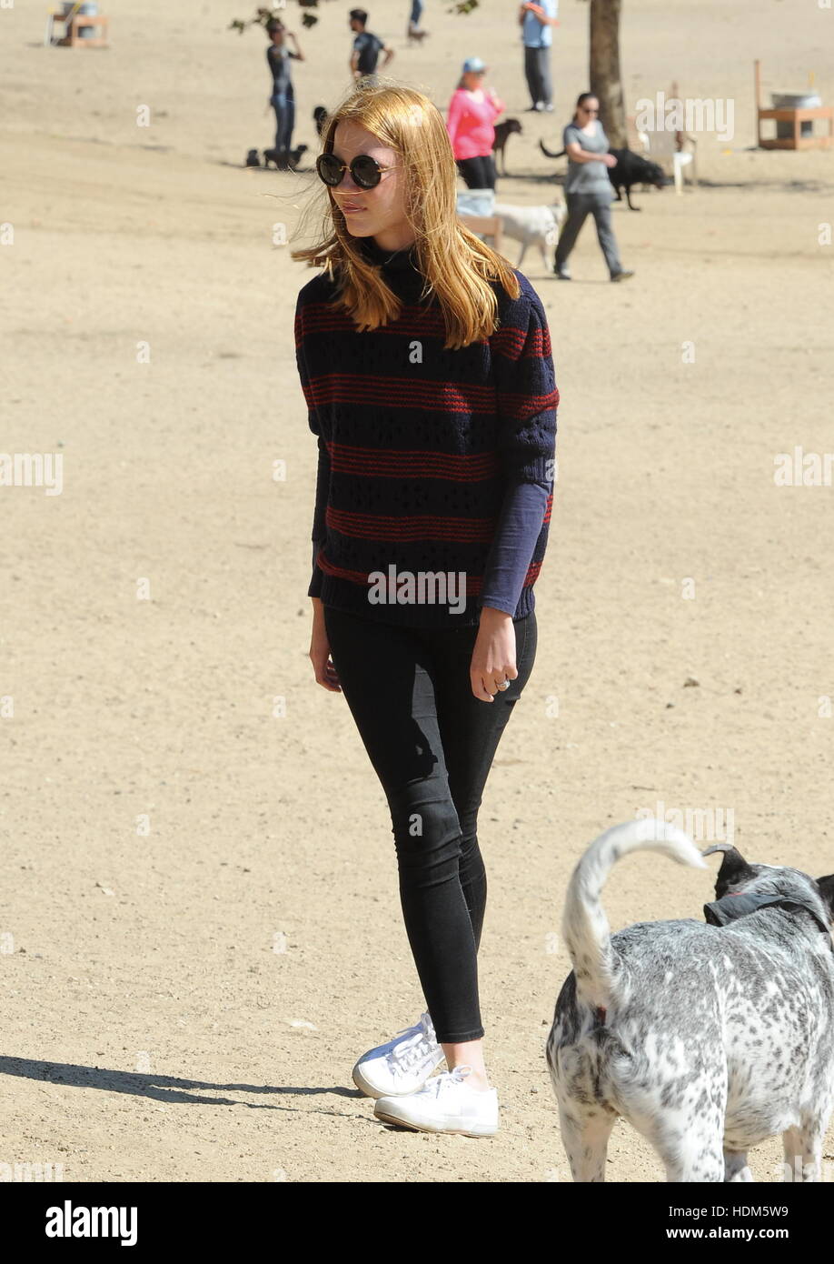 Frisch verheiratete Shia LaBeouf und Mia Goth, in einem Park mit ihren Bulldog Brando Featuring: Mia Goth wo: Los Angeles, California, Vereinigte Staaten von Amerika bei: 15. Oktober 2016 Stockfoto