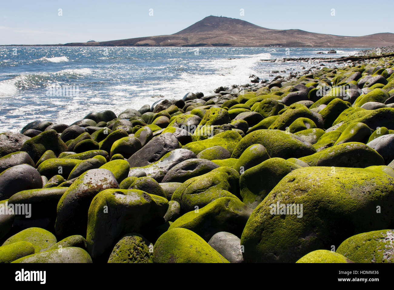 Steiniger Strand. Atlantikküste - Gran Canaria Stockfoto