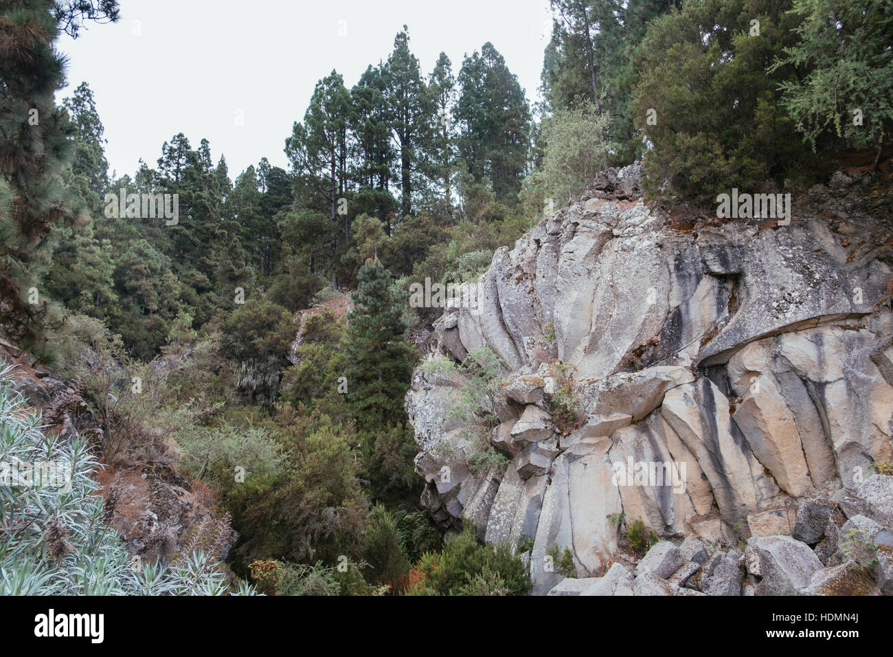 Geologische Formation im Parque Natural Corona Forestal, Mirador de la Piedra de la Rosa, Teneriffa, Kanarische Inseln, Spanien Stockfoto