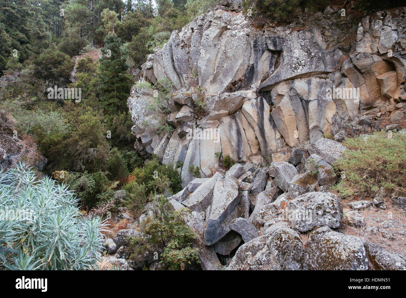 Geologische Formation im Parque Natural Corona Forestal, Mirador de la Piedra de la Rosa, Teneriffa, Kanarische Inseln, Spanien Stockfoto