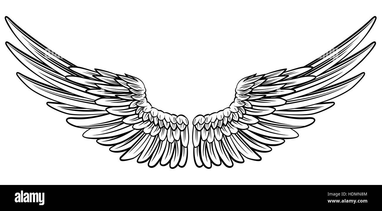 Paar ausgebreitet Adler Vogel oder Engel Flügel Stockfoto