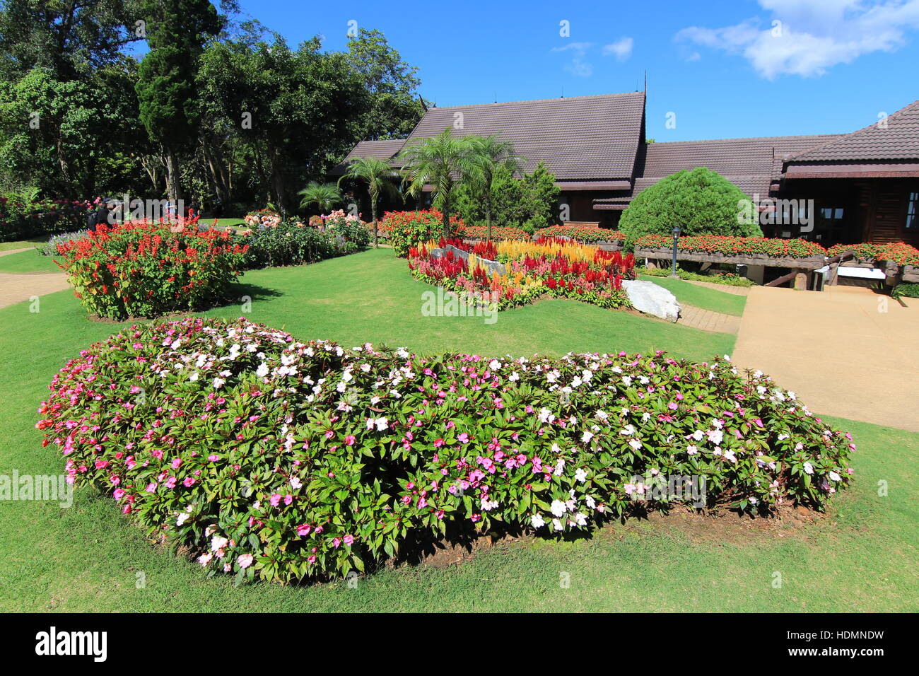Schöne Blumenbeet Garten in Doi Tung Royal Botanical Gardens Stockfoto