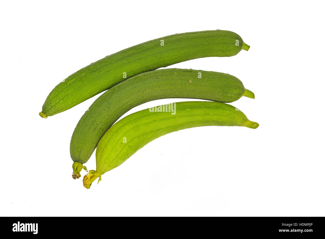 frische Luffa isoliert auf weißem Hintergrund Stockfoto