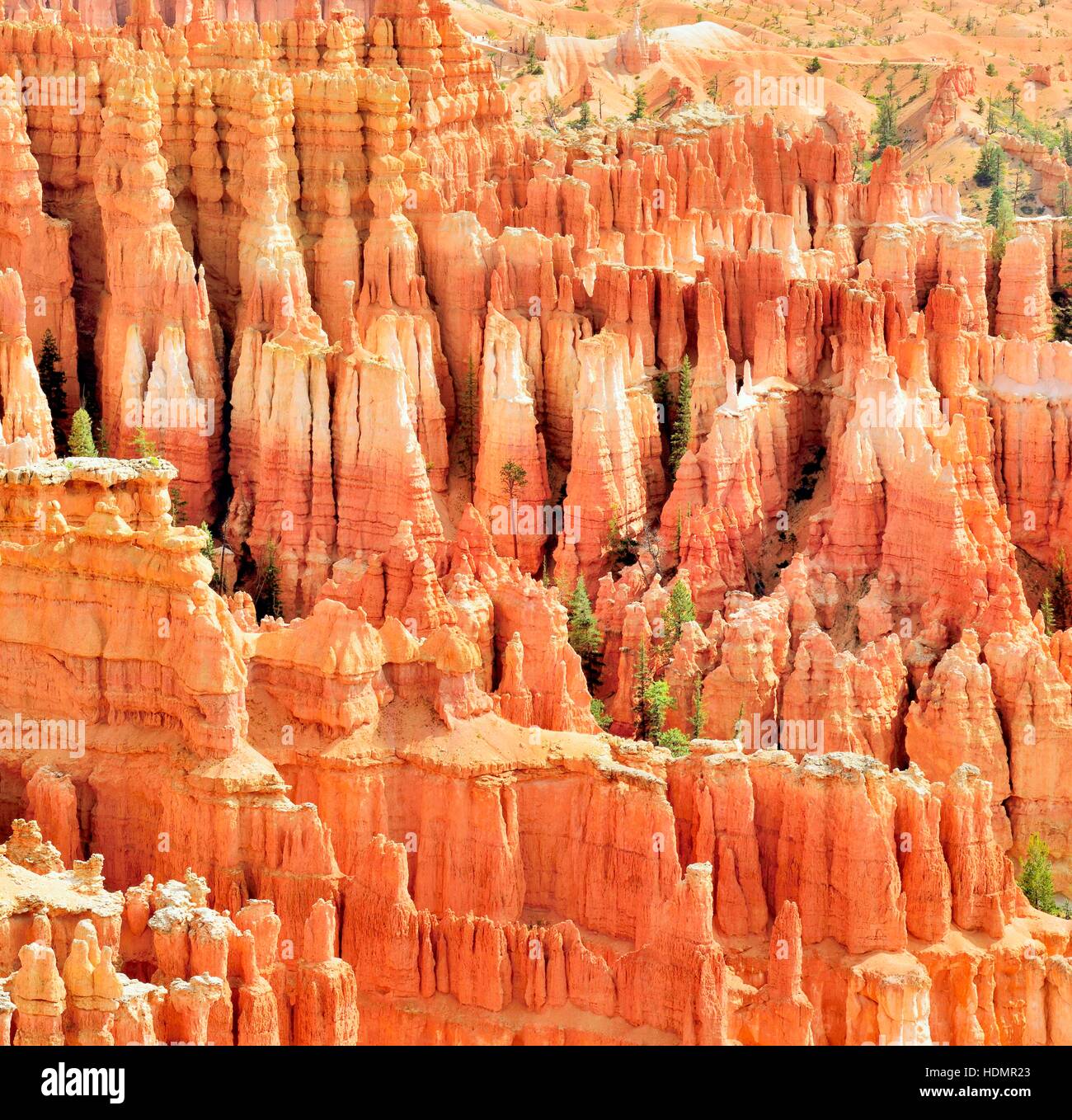 Rot erodiert Kalkstein Spalten, Bryce-Canyon-Nationalpark, Sunrise Point, Utah, USA Stockfoto