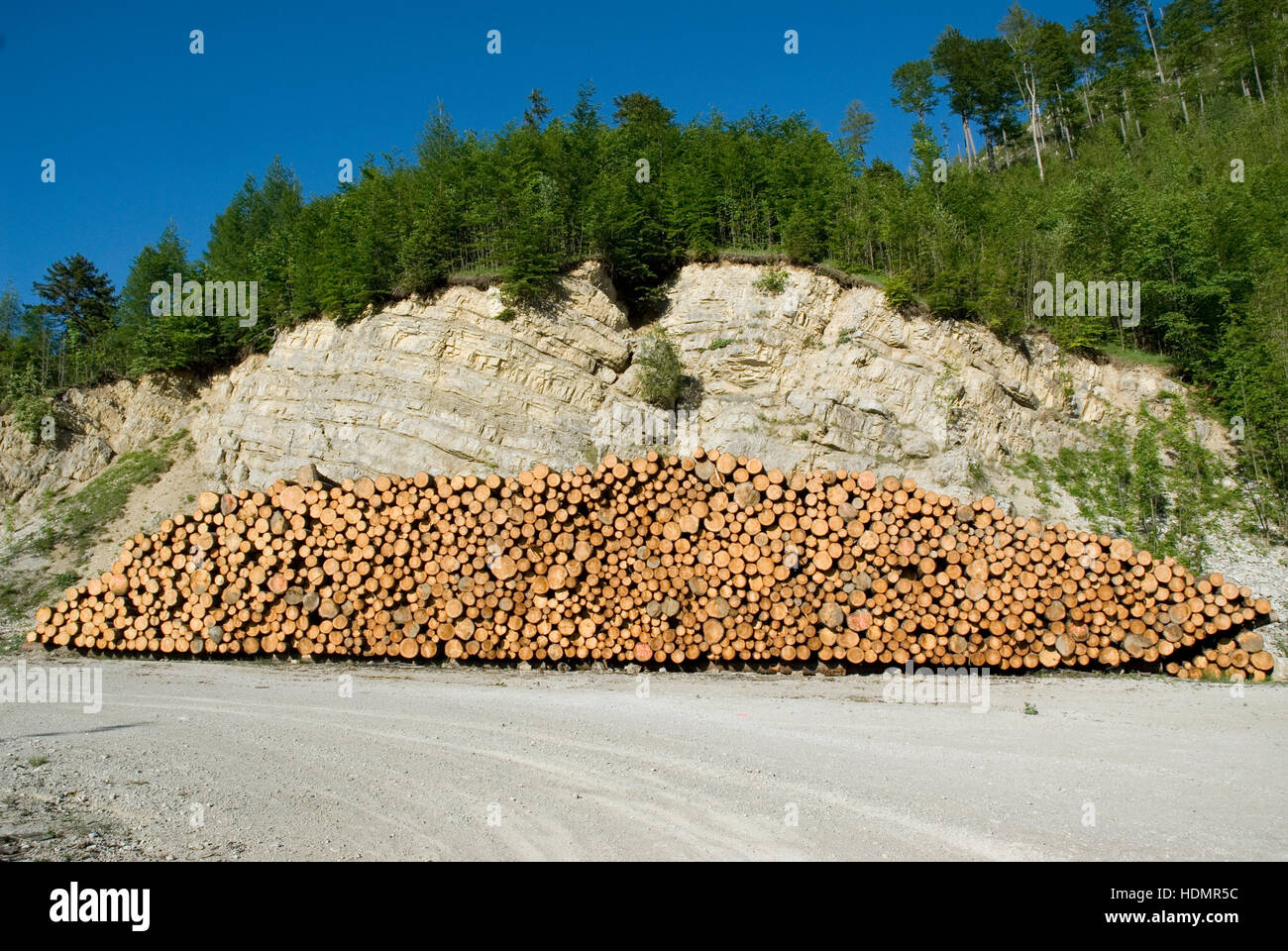 Holzstoß, Nationalpark Kalkalpen, Upper Austria, Europe Stockfoto