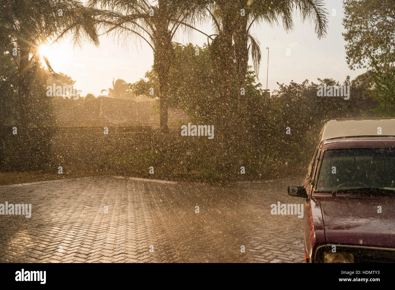 Regen gesehen in Harare, Simbabwe Stockfoto