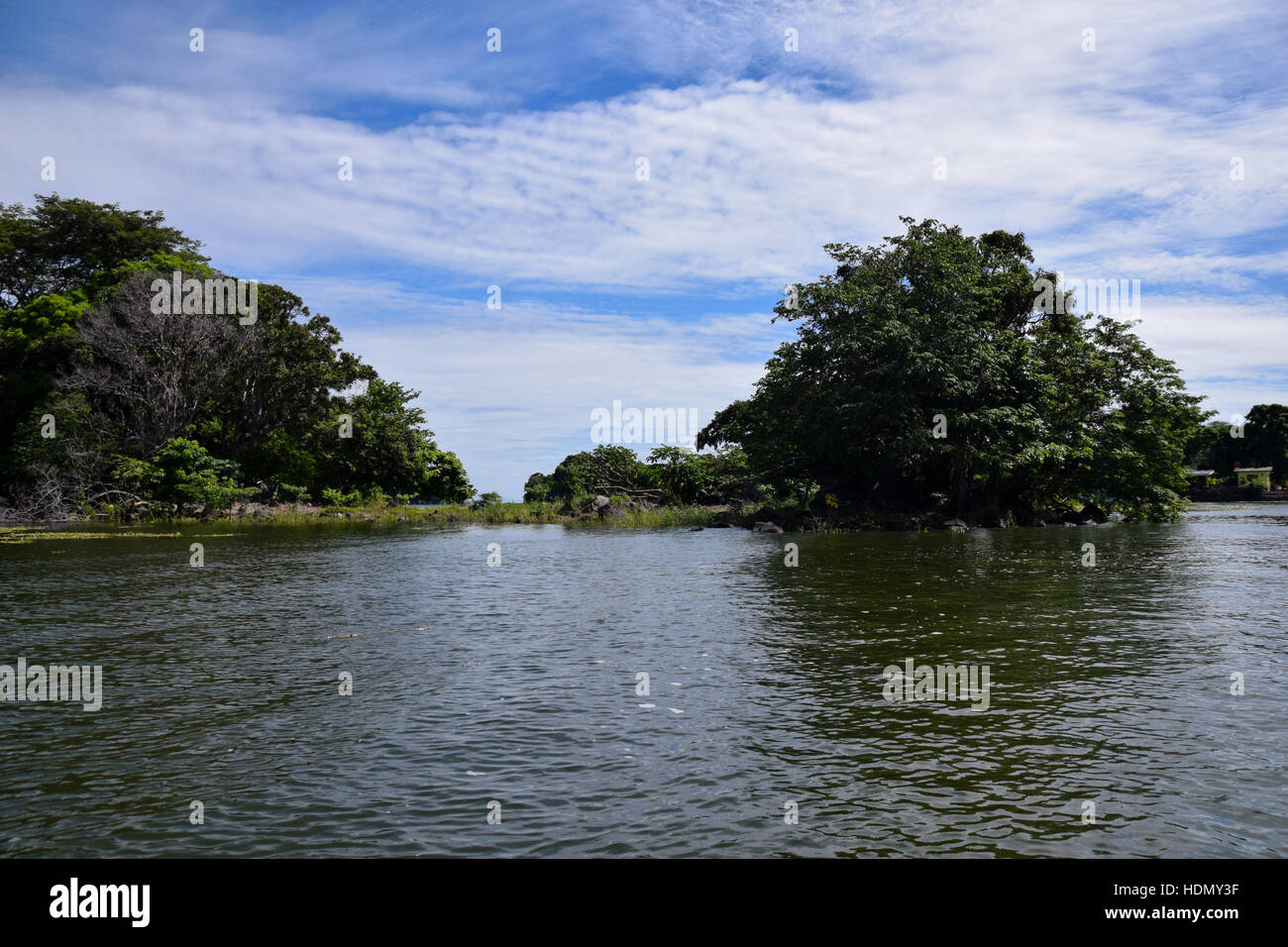 Inseln, Flora und Fauna rund um Las Isletas, Nicaragua-See Stockfoto