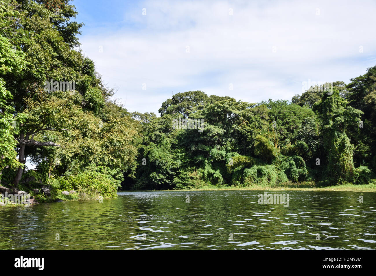 Inseln, Flora und Fauna rund um Las Isletas, Nicaragua-See Stockfoto
