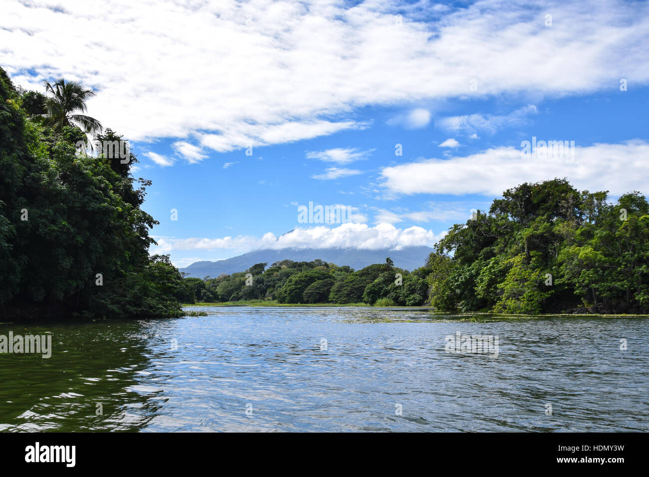 Inseln, Gewässer, Flora und Fauna rund um Las Isletas, Nicaragua-See Stockfoto