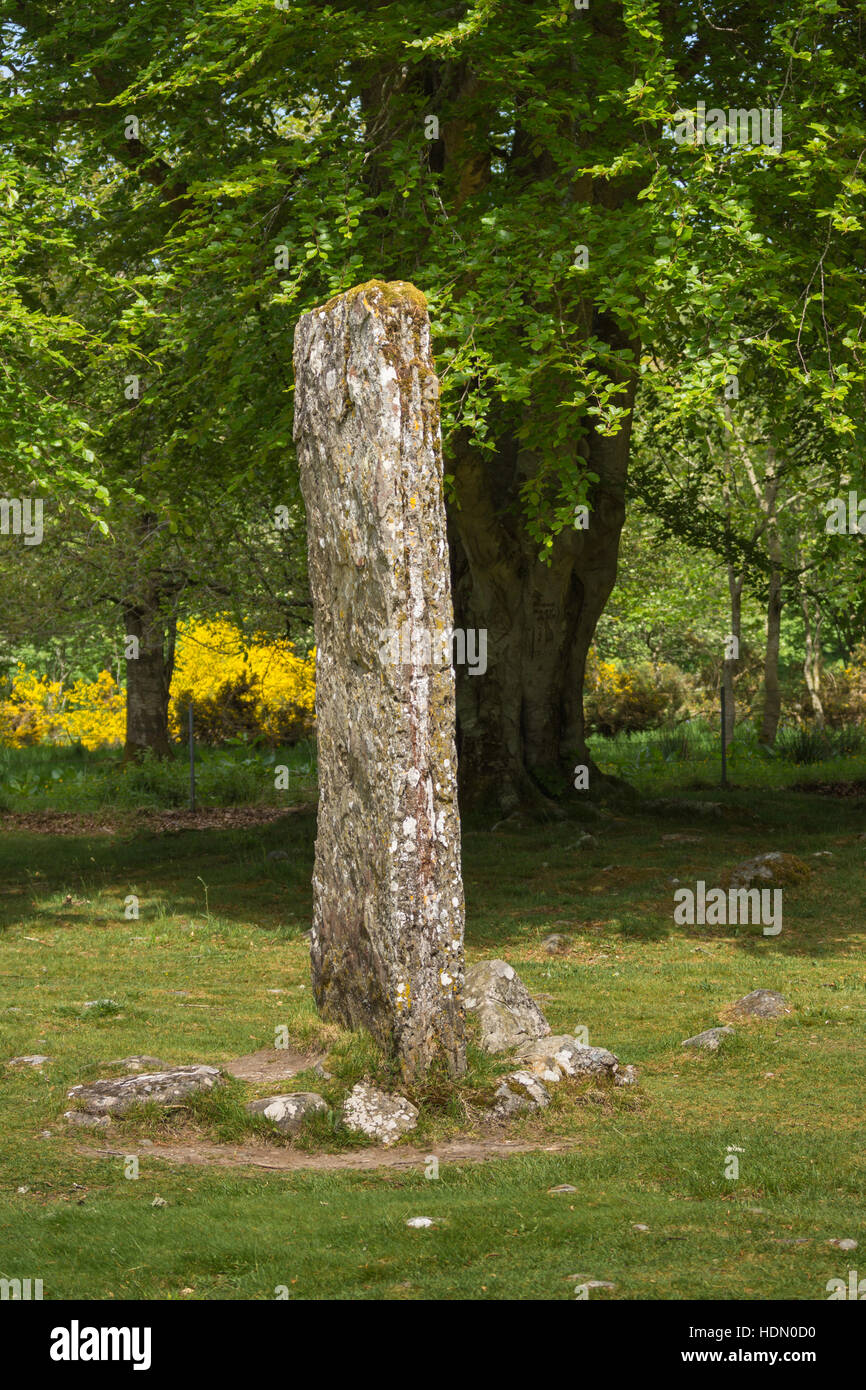 Schlanke Menhir im prähistorischen Schloten Cairns. Stockfoto