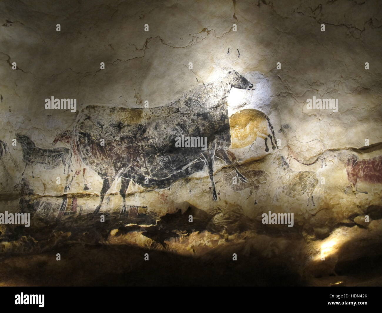 Montignac, Frankreich. 8. Dezember 2016. Eine Reproduktion des Gemäldes prähistorischen Höhle einer schwarzen Kuh am Centre International de l ' Art parietalen Montignac Lascaux in Montignac, Frankreich, 8. Dezember 2016. Lascaux IV ist eine neue Reproduktion des berühmten Steinzeithöhle im Südwesten Frankreichs. Foto: Sabine Glaubitz/Dpa/Alamy Live-Nachrichten Stockfoto