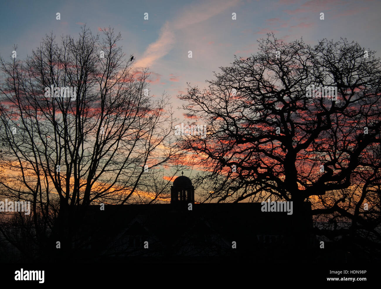 Wimbledon, London, UK. 14. Dezember 2016. Die Silhouette Form der Bäume in Wimbledon bei einem Firesky Sonnenaufgang schaffen atemberaubende Farben Credit: Amer Ghazzal/Alamy Live-Nachrichten Stockfoto