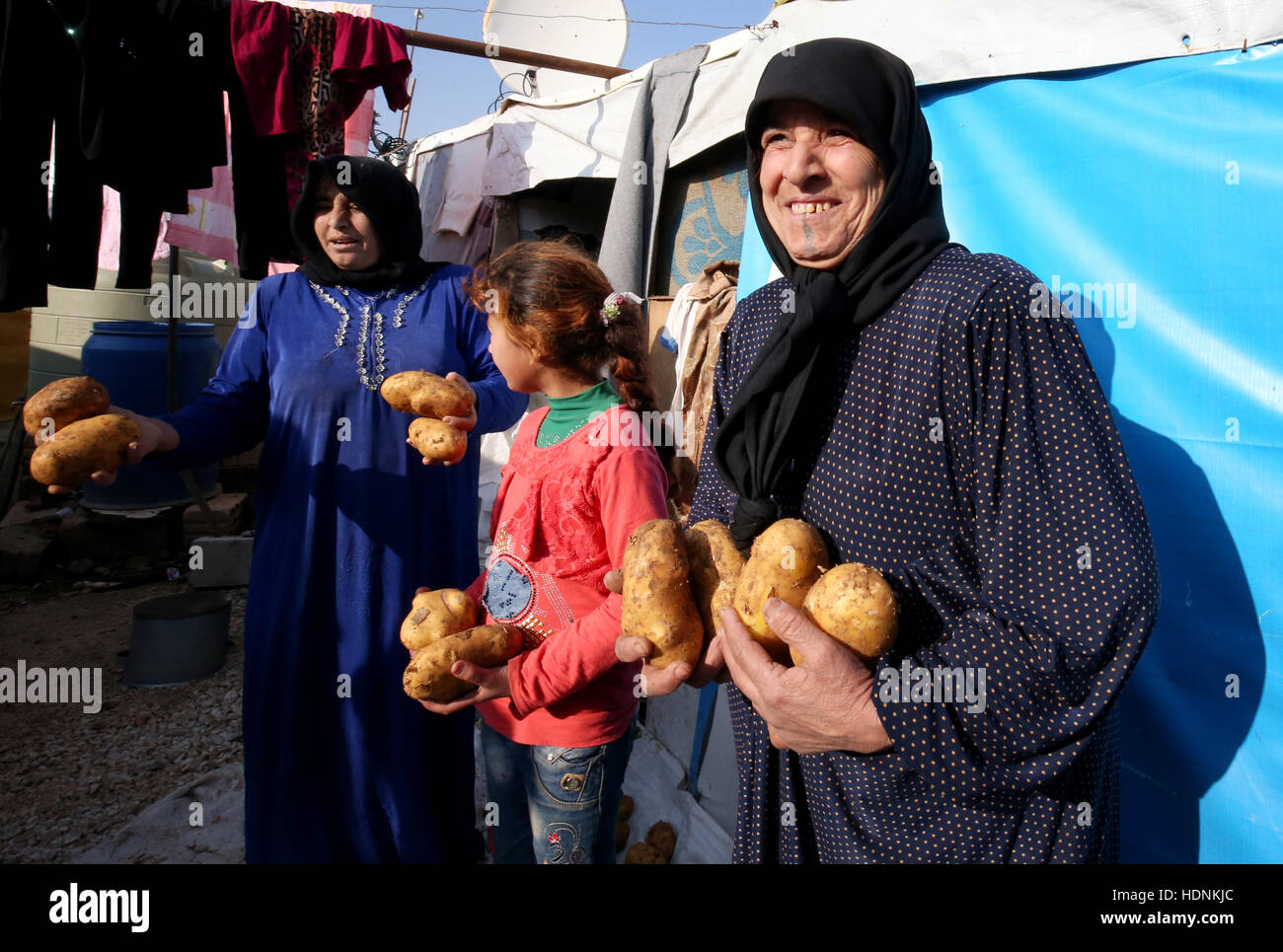 Syrischer Flüchtling Maryiam, 40, (links) mit ihrer Enkelin auch genannt Maryiam, 11, und Fatima, 70, die alle aus Aleppo, tanken Kartoffeln für den Winter vor ihrem Zelt im Camp im Bekaa-Tal, Libanon, nahe der syrischen Grenze geflohen. Stockfoto