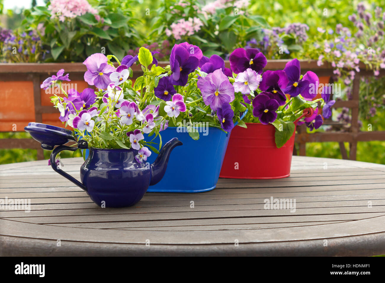 Lila Stiefmütterchen Blüten in blau und rot Töpfen über einen Balkon mit Tisch, Kopie oder Text Raum, Frühling Hintergrundvorlage Stockfoto