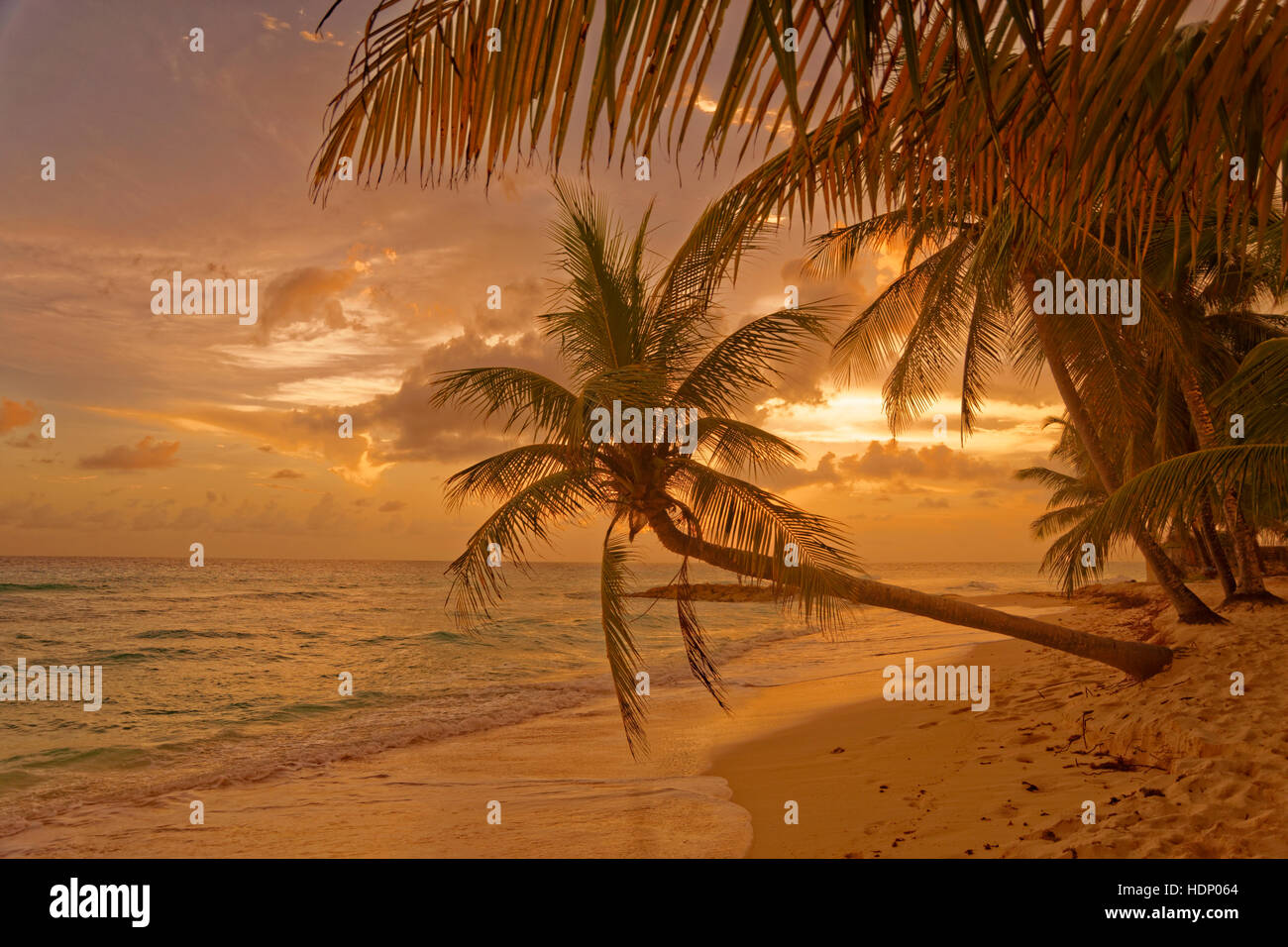 Sonnenuntergang am Strand von Dover, St. Lawrence Gap, Südküste, Barbados, Karibik. Stockfoto