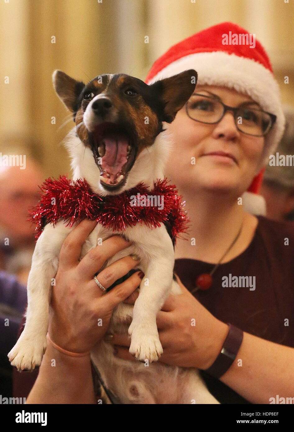 Louise Bloomfield und ihr Hund Alfie während der jährlichen Peata Hund  Carol Service in Christ Church Cathedral in Dublin Stockfotografie - Alamy