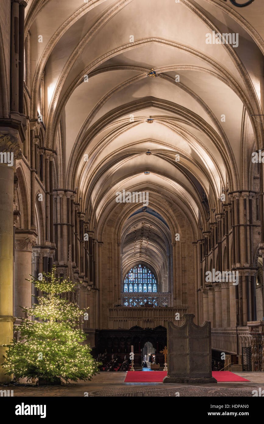 Gewölbte Decke in die Kathedrale von Canterbury, England. Stockfoto