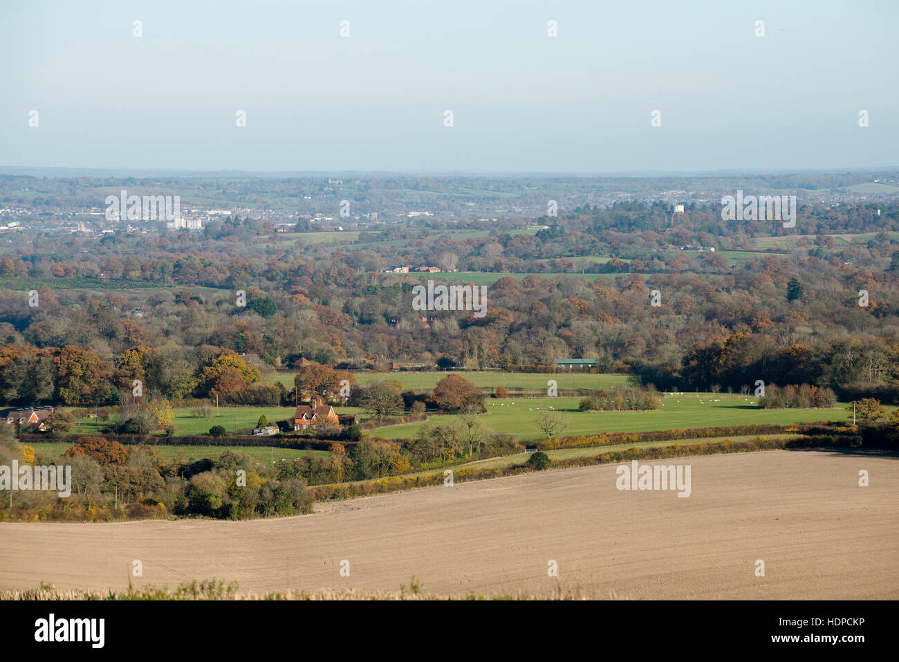 Ein Blick auf Felder und Wälder im Spätherbst mit einigen bunten Bäumen aus der Berkshire Downs in Richtung Newbury Stockfoto