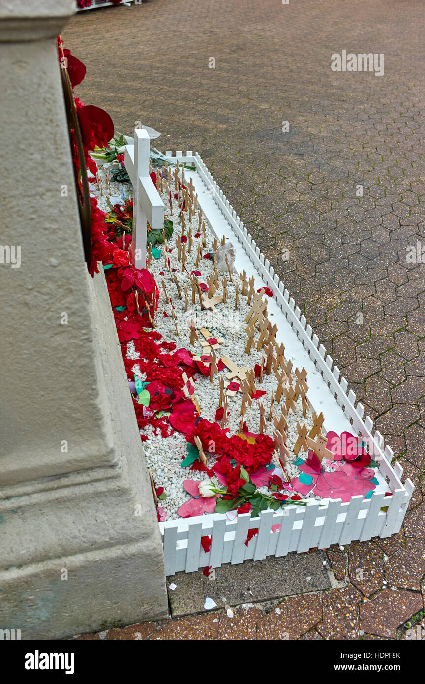 Am Tag nach Mohn Stockfoto