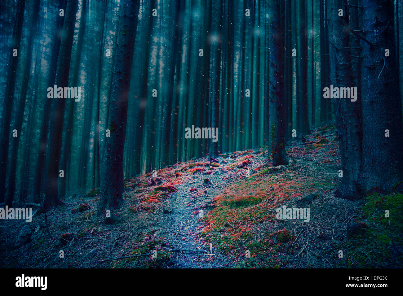 Magische Fee Waldweg in den Wald mit blauen Bäume, bunte Gräser und Lichter Stockfoto