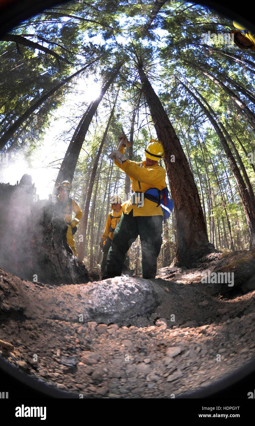 Der US-Nationalgarde schneidet Redwood Baumwurzeln zu helfen, ein kleines Feuer zu löschen, während die Humboldt Lightning Fire in der Nähe von den Bergen von Wildcat Butte 9. August 2015 in der Nähe von Brock Creek, Humboldt County, Kalifornien. Stockfoto