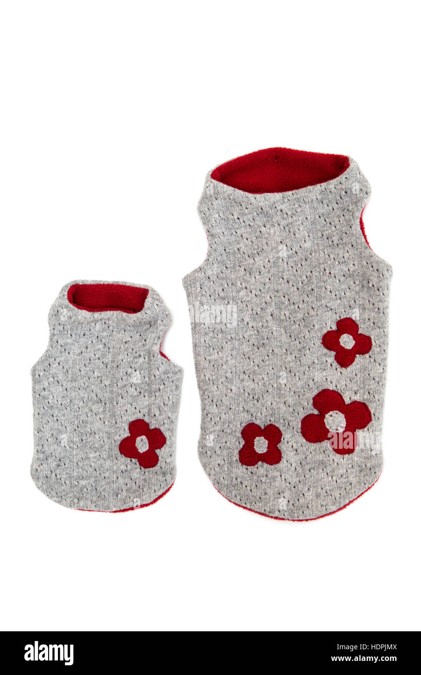 Einzelne Hundepullover isolieren auf weiß Stockfoto