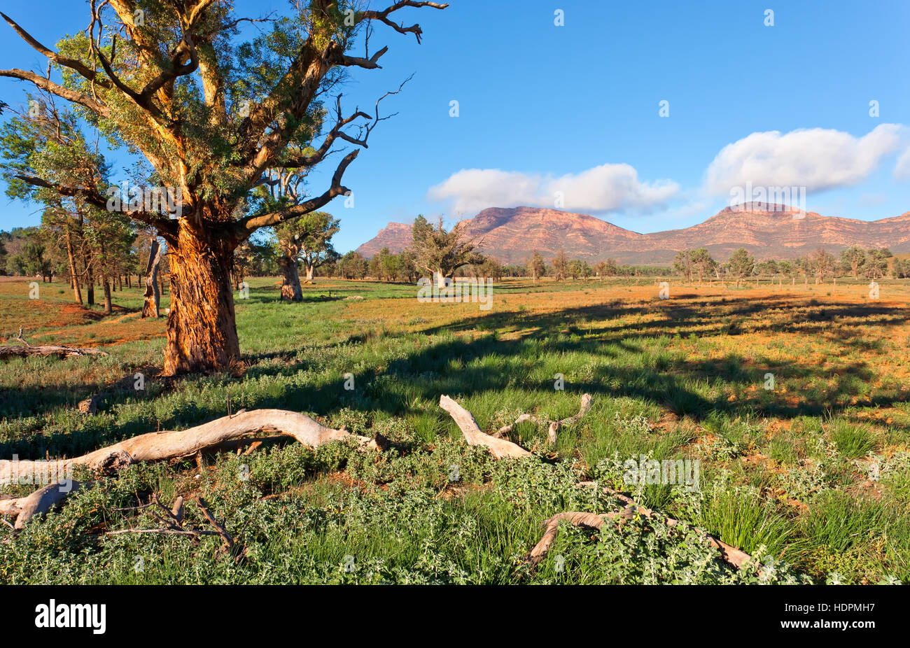 Flinders Ranges Wilpena Pound South Australia australischen Landschaften St Mary Peak outback-Landschaft Stockfoto