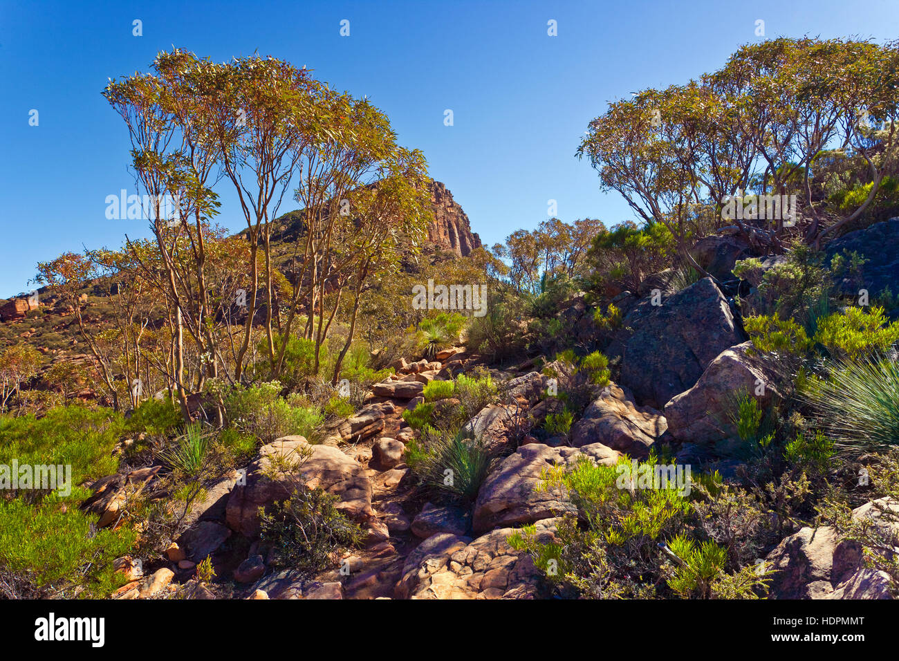 Flinders Ranges South Australia australischen Landschaften Wilpena Pound St Mary peak Wanderung Wandern trail outback-Landschaft Stockfoto
