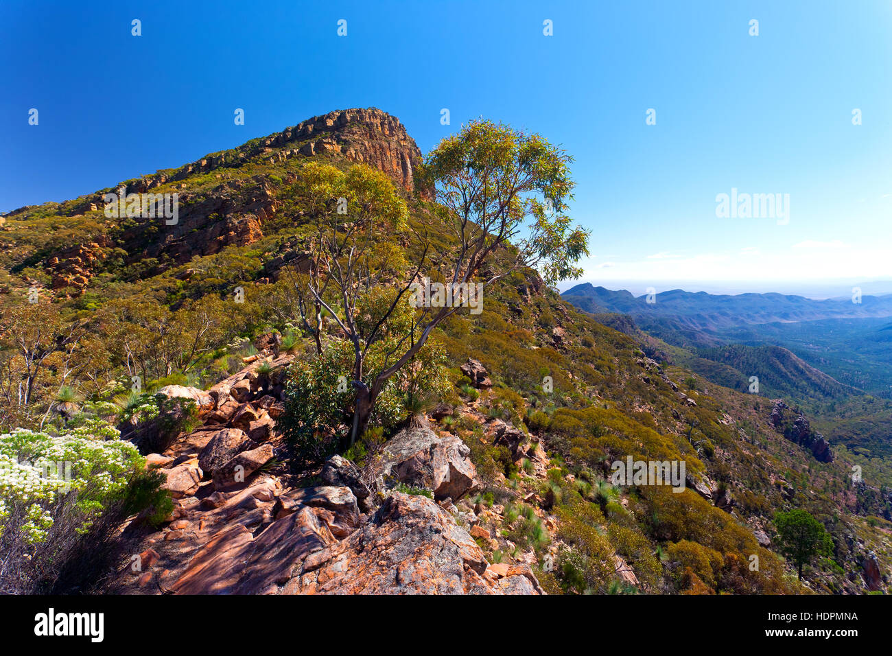 Flinders Ranges South Australia australischen Landschaften Wilpena Pound St Mary peak Wanderung Wandern trail outback-Landschaft Stockfoto