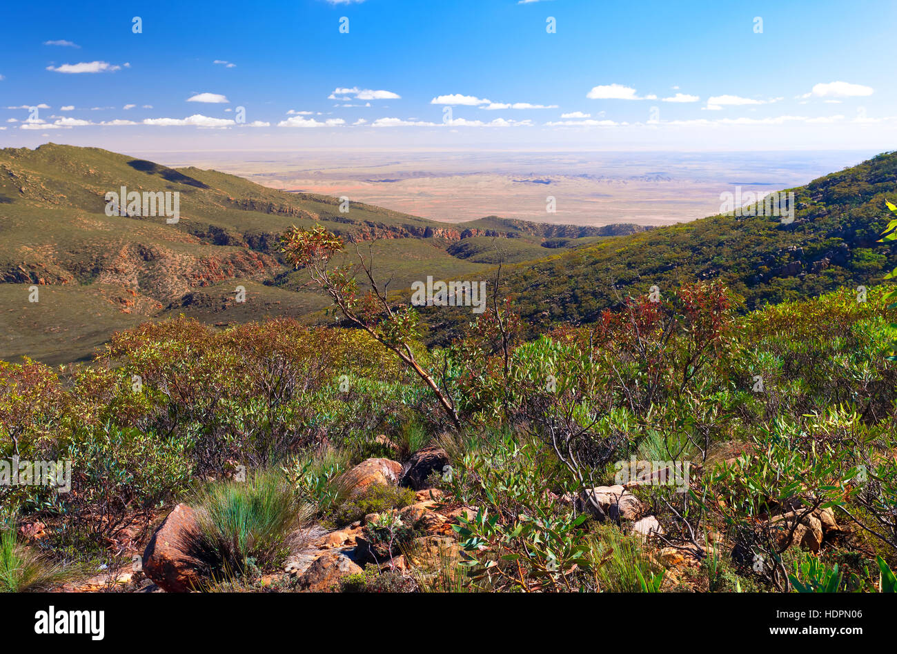 Landschaftsbild Outback Panorama Flinders reicht South Australia australischen Landschaften Wilpena Pound Stockfoto